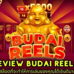 Review Budai Reels